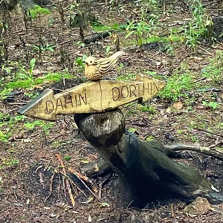 Haus Zur Pinge Casa de hóspedes Altenberg (Osterzgebirge)