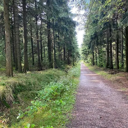 Gasthof Haus Zur Pinge 3*