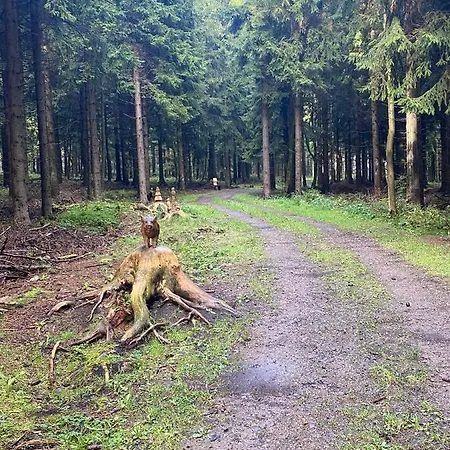 Haus Zur Pinge 3* Altenberg (Erzgebirge)