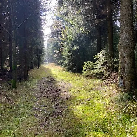 Haus Zur Pinge Altenberg (Osterzgebirge)