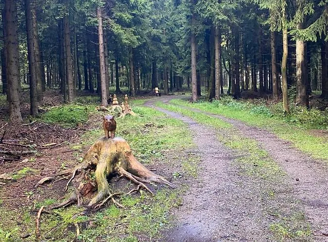 Haus Zur Pinge 3* Альтенберг