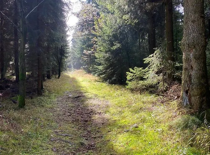 Haus Zur Pinge Альтенберг