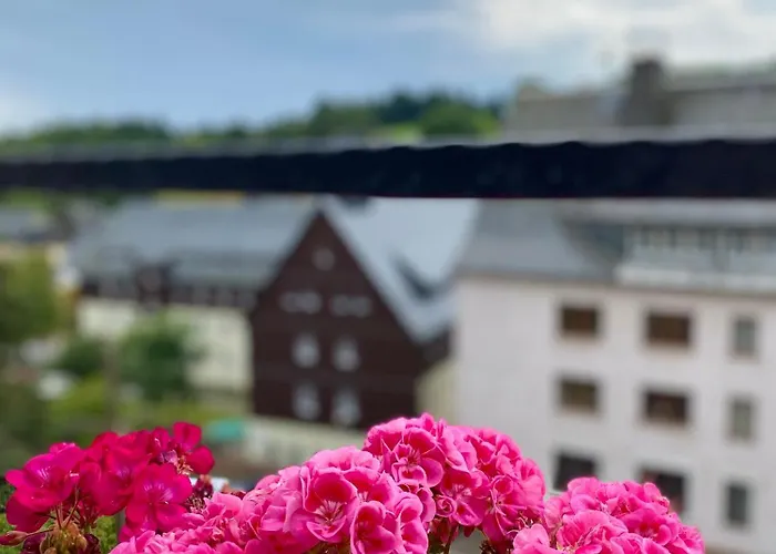 Haus Zur Pinge Альтенберг