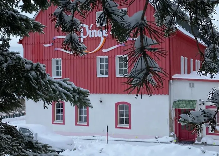 Haus Zur Pinge Гостевой дом 3*