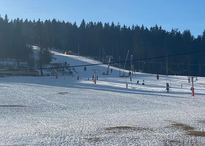 Haus Zur Pinge Гостевой дом 3*